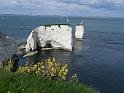 P1000266- Old harry rock - cote jurassique du Dorset